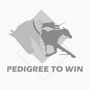 Pedigree To Win